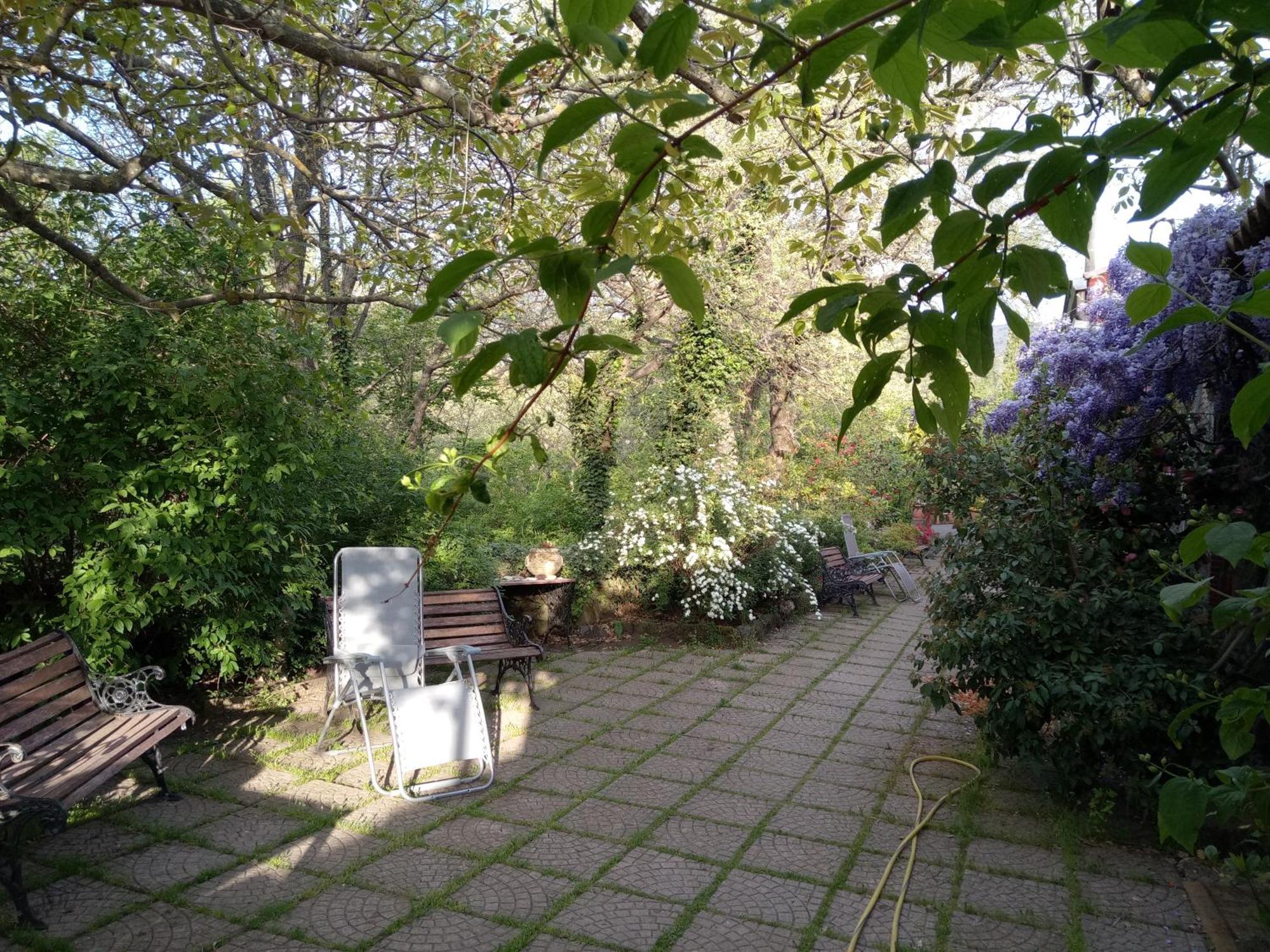 Cirasellaetna Villa Sant'Alfio Bagian luar foto