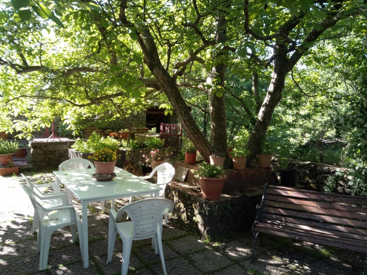 Cirasellaetna Villa Sant'Alfio Bagian luar foto