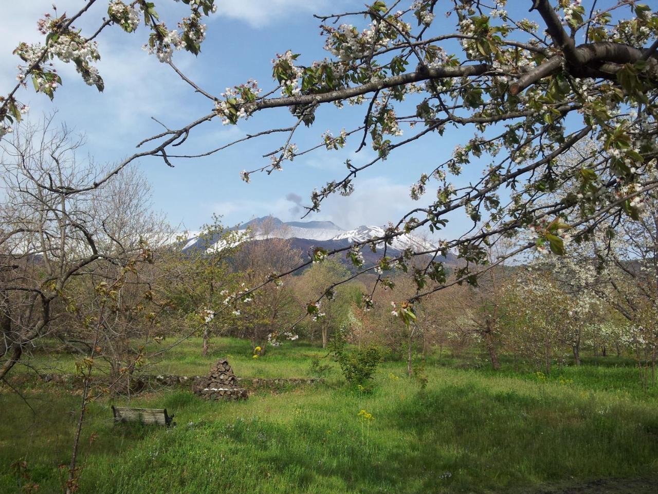Cirasellaetna Villa Sant'Alfio Bagian luar foto