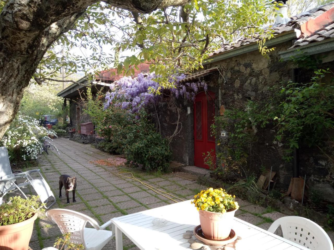 Cirasellaetna Villa Sant'Alfio Bagian luar foto