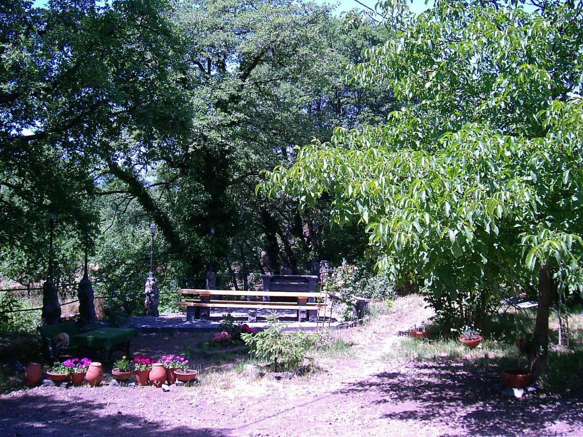 Cirasellaetna Villa Sant'Alfio Bagian luar foto